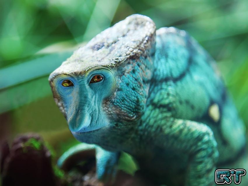 Illustration for article titled Yikes, these animal hybrids are so hilariously terrifying